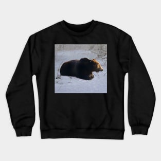 Brown bear in the snow Crewneck Sweatshirt